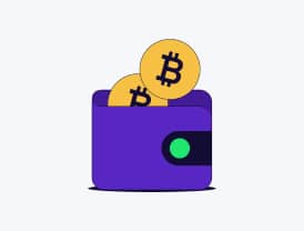 Bitcoin Wallet Illustration